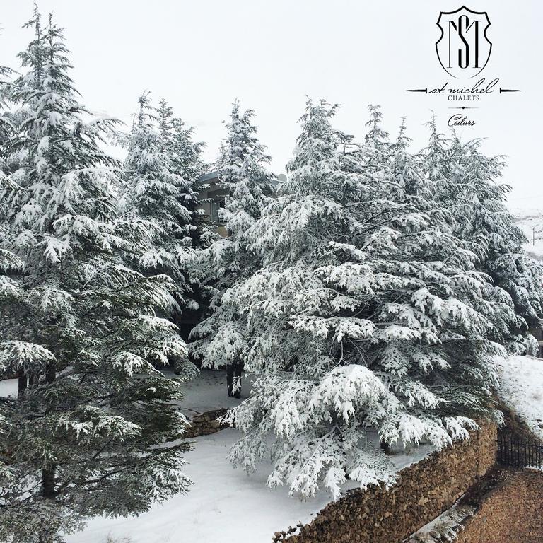 Saint Michel Chalets Al Arz Luaran gambar